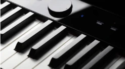 Casio Privia PX-S1000 Digital Piano -Faders Music Store casio privia px s1000 digital piano sfm 290839