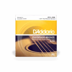D'Addario Phosphor Bronze Bluegrass Set, Light Top/Medium Bottom 12-56