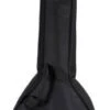Denver DBJ5C Banjo Bag -Faders Music Store denver dbj5c banjo bag yorkville 374758