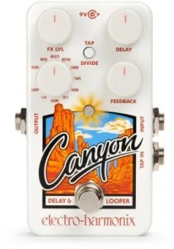 EHX Canyon Delay & Looper