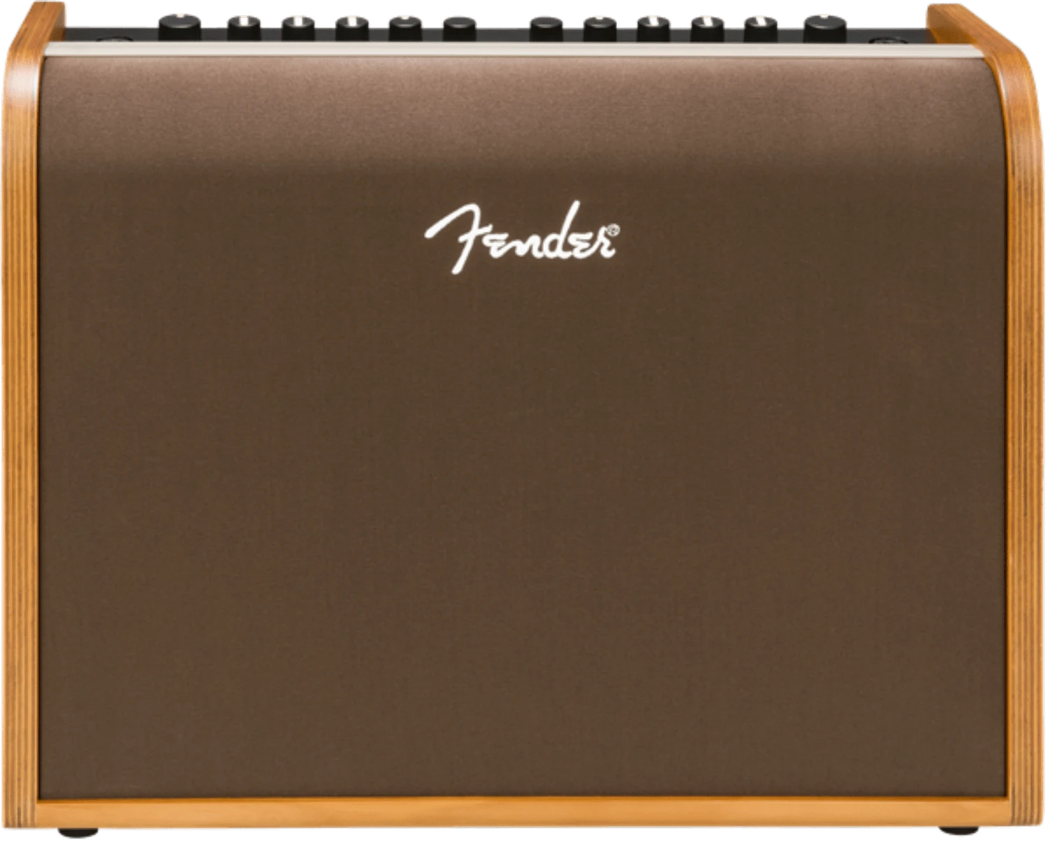 Fender Acoustic 100 Acoustic Amp 1 Fender Acoustic 100 Acoustic Amp