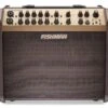 Fishman Loudbox Artist -Faders Music Store fishman loudbox artist fishman 755160