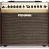 Fishman Loudbox Mini -Faders Music Store fishman loudbox mini fishman 212939