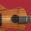 HAL LEONARD UKULELE METHOD BOOK 2 -Faders Music Store hal leonard ukulele method book 2 hal leonard 224846