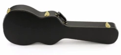 Hardshell Case For ES-339 Body