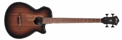 Ibanez AEGB24EMHS Acoustic Bass Mahogany Sunburst High Gloss