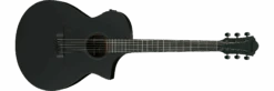 Ibanez AEWC621 Acoustic Electric Guitar, Black Out
