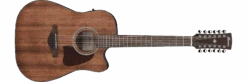 Ibanez AW5412CE Artwood Acoustic-Electric 12 String, Open Pore