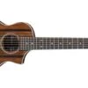 Ibanez EWP13 Steel String Piccolo Acoustic Guitar, Dark Brown Open Pore 3 Ibanez EWP13 Steel String Piccolo Acoustic Guitar, Dark Brown Open Pore -Faders Music Store ibanez ewp13 steel string piccolo acoustic guitar dark brown open pore hoshino 183872