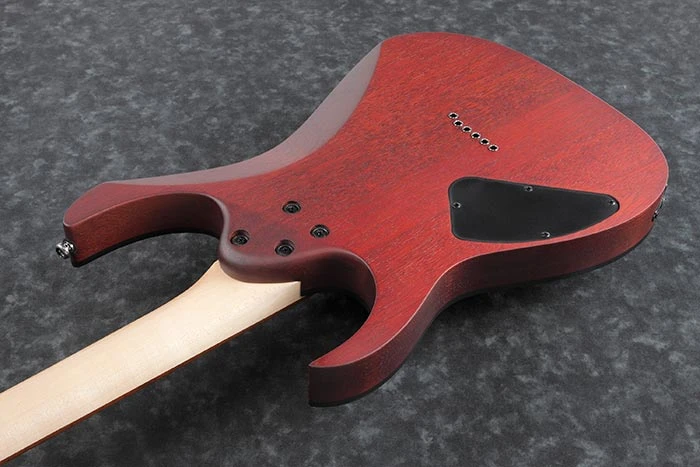 Ibanez RG Standard RG421PB Electric Guitar - Caribbean Shoreline Flat 2 Ibanez RG Standard RG421PB Electric Guitar - Caribbean Shoreline Flat - Image 2