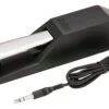 Korg DS-1H Piano-Style Sustain Pedal With Half-Damper Control -Faders Music Store korg ds 1h piano style sustain pedal with half damper control erikson music 263942