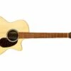 Martin & Co. GPC-X2E X Series Sitka Spruce/Cocobolo HPL Acoustic/Electric Guitar W/ Gigbag -Faders Music Store martin co gpc x2e x series sitka sprucecocobolo hpl acousticelectric guitar w gigbag martin guitar co 141720
