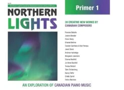 Northern Lights Primer 1