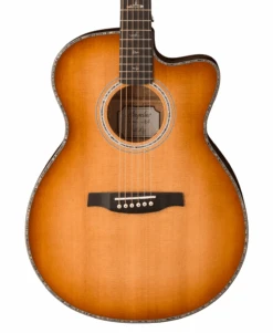 Paul Reed Smith PRS Angelus SE AE50E -Faders Music Store paul reed smith prs angelus se ae50e prs 602939