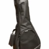 Profile M05TX Mandolin Bag 3 Profile M05TX Mandolin Bag -Faders Music Store profile m05tx mandolin bag coast music 576373