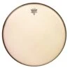 Remo Ambassador Renaissance 14" Drum Head -Faders Music Store remo ambassador renaissance 14 drum head coast music 824533