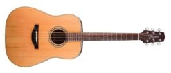 Takamine Dreadnought Acoustic Guitar, Natural
