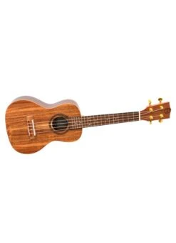 Twisted Wood Aurora Ukulele
