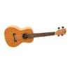 Twisted Wood Bailer Ukulele -Faders Music Store twisted wood bailer ukulele twisted wood guitars 397324