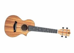 Twisted Wood Ember Ukulele