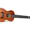 Twisted Wood Pioneer Ukulele 2 Twisted Wood Pioneer Ukulele -Faders Music Store twisted wood pioneer ukulele twisted wood guitars 297036