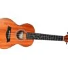 Twisted Wood Rock Roots Concert Ukulele -Faders Music Store twisted wood rock roots concert ukulele twisted wood guitars 121498