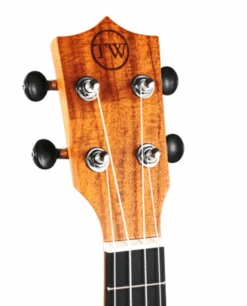 Twisted Wood Sierra Ukulele -Faders Music Store twisted wood sierra ukulele twisted wood guitars 256565
