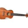 Twisted Wood Tyro Ukulele