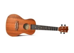 Twisted Wood Tyro Ukulele