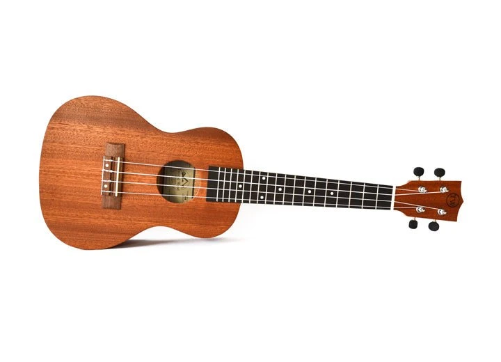 Twisted Wood Tyro Ukulele 1 Twisted Wood Tyro Ukulele