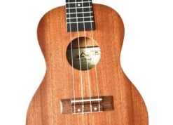 Twisted Wood Tyro Ukulele 8 Twisted Wood Tyro Ukulele -Faders Music Store twisted wood tyro ukulele twisted wood guitars 689356