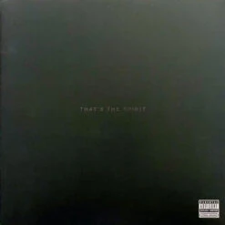 VINYL Bring Me The Horizon That's The Spirit