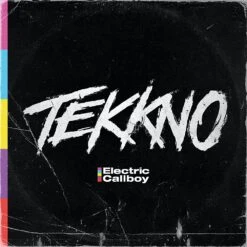 VINYL Electric Callboy Tekkno