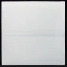 VINYLFoo Fighters – But Here We Are