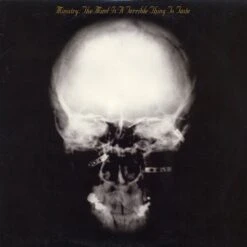 VINYL MINISTRY THE MIND IS A TERRIBLE THING TO TASTE