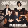 VINYL ONE DIRECTION MADE IN THE A.M. (2LP) -Faders Music Store vinyl one direction made in the am 2lp fab 199955