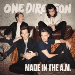 VINYL ONE DIRECTION MADE IN THE A.M. (2LP)