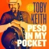VINYL Toby Keith Peso In My Pocket 4 VINYL Toby Keith Peso In My Pocket -Faders Music Store vinyl toby keith peso in my pocket fab 709818