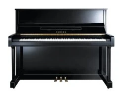 Yamaha B3 PE Upright Piano - Polished Ebony (Floor Model)