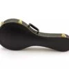 Yorkville Sound Mandolin Case - A Style
